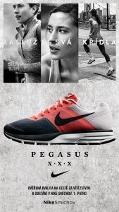 Reference: Pegasus